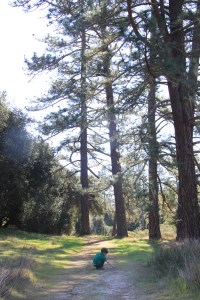 Quail Hollow's airy trails