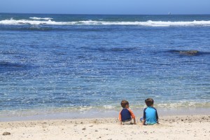 Watching the many seals of Seal Cove